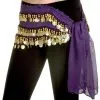 Miss Belly Dance Purple Belly Dance Hip Scarf Costume