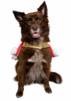 Pet Krewe Rainbow Costume For Pets -Scarves Sales 2023 rainbow pet costume alt 4